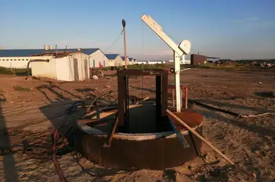 Четыре человека погибли на свинокомплексе в СКО: возбуждено уголовное дело, фото - Новости Zakon.kz от 02.08.2023 11:40