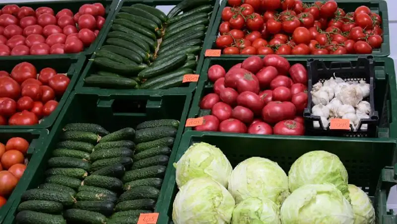 Производить 5 тысяч тонн овощей с 200 га планируют в Акмолинской области