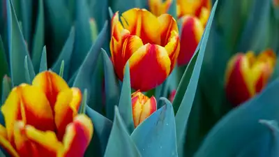 Апрель в Казахстане начнется с солнечной погоды, фото - Новости Zakon.kz от 31.03.2023 12:08