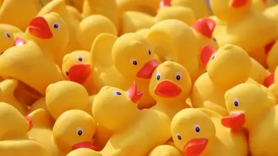 резиновая утка, фото - Новости Zakon.kz от 09.03.2023 12:28