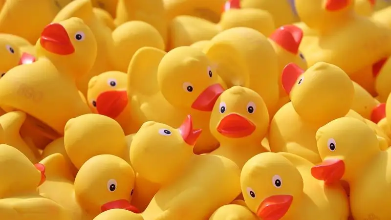 Таиландца посадили в тюрьму за продажу календарей с утками