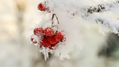 Zakon.kz, фото - Новости Zakon.kz от 03.12.2014 14:33