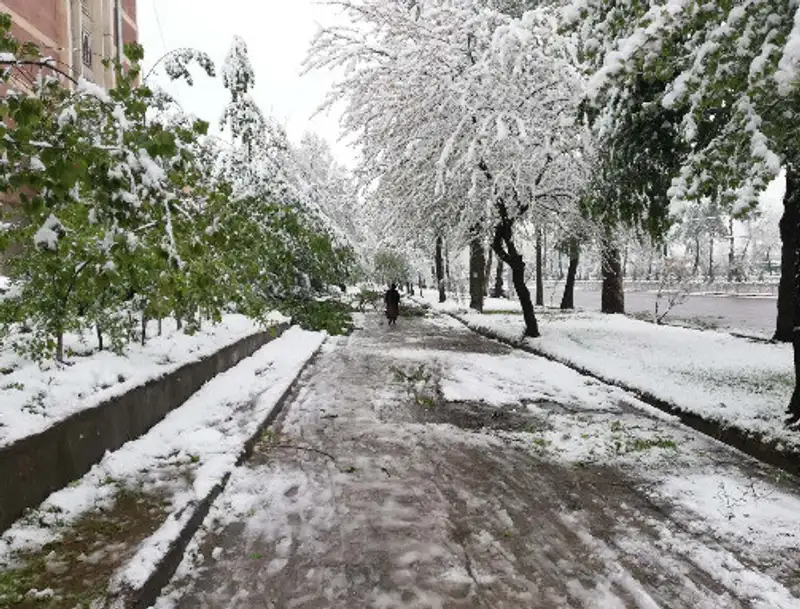 , фото - Новости Zakon.kz от 09.04.2020 13:21