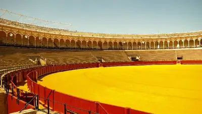 коррида обрушение трибуны Колумбия, фото - Новости Zakon.kz от 27.06.2022 11:09