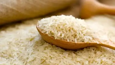 ruspravda.info, фото - Новости Zakon.kz от 01.03.2019 09:43