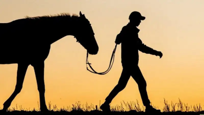 Воры-рецидивисты не смогут примиряться с пострадавшими