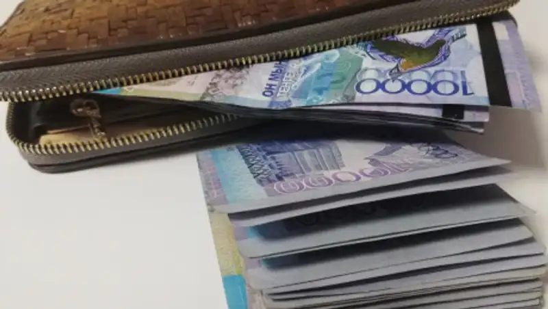 Аким сельского округа Жамбылской области заключил 11 договоров с компанией своей жены