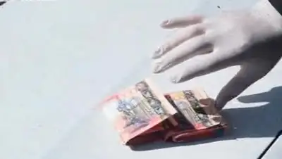 Zakon.kz, фото - Новости Zakon.kz от 09.06.2017 17:15