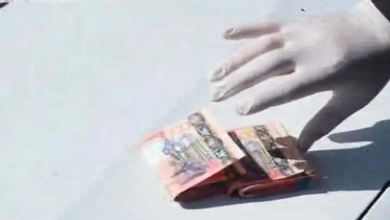 Алматы облысында жалған ақша жасағандар ұсталды