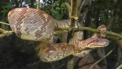 Zakon.kz, фото - Новости Zakon.kz от 24.07.2015 15:17