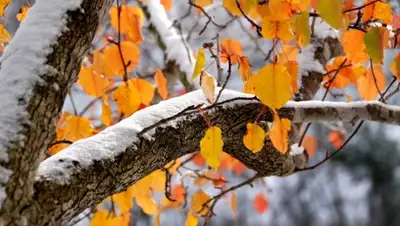 Zakon.kz, фото - Новости Zakon.kz от 13.11.2015 20:23