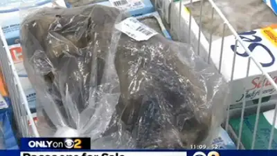 Zakon.kz, фото - Новости Zakon.kz от 12.02.2015 21:03