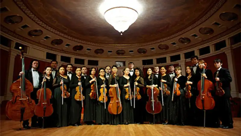 «Астана Опера» презентует Камерный оркестр и инструментальные ансамбли, фото - Новости Zakon.kz от 12.11.2013 20:53