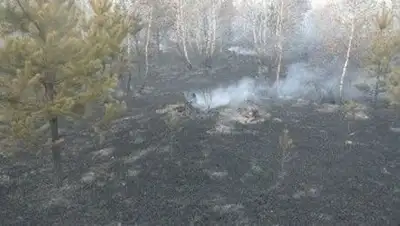 Zakon.kz, фото - Новости Zakon.kz от 24.04.2014 23:42