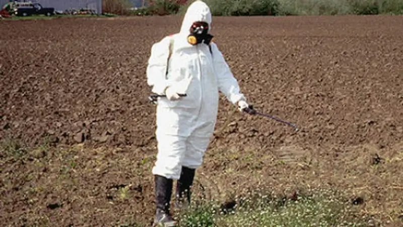 Средство для защиты урожая без опрыскивания химикатами придумали в РФ