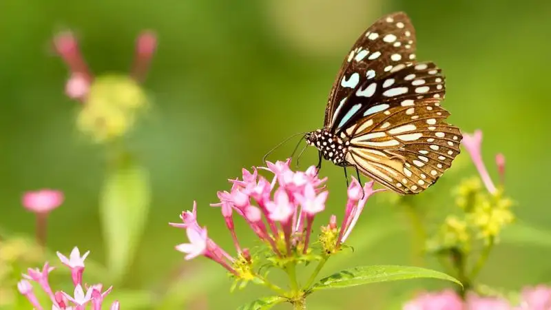 Весна берет свое: потепление пообещали казахстанцам