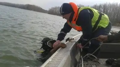 Zakon.kz, фото - Новости Zakon.kz от 29.03.2016 13:21