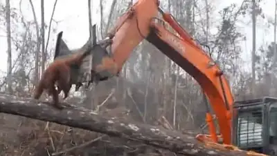 Вести.ру - Vesti.Ru, фото - Новости Zakon.kz от 10.06.2018 06:18