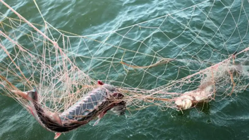 Браконьер пытался отобрать у егеря табельное оружие в ЗКО