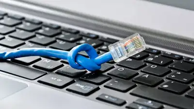 makemefeed.com, фото - Новости Zakon.kz от 06.11.2019 12:18