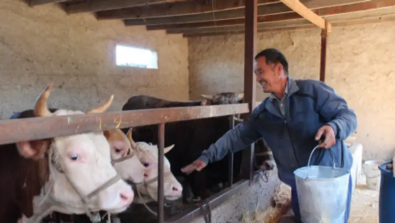 Житель Шамалгана начал мясной бизнес, получив льготный кредит