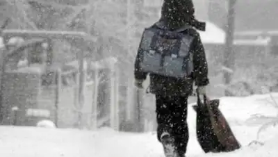 aktistv.ru, фото - Новости Zakon.kz от 08.02.2021 07:28