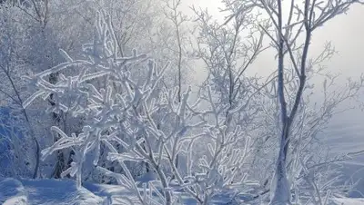 Pixabay, фото - Новости Zakon.kz от 06.02.2019 17:02