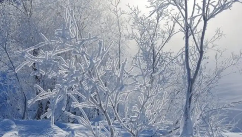 В трех областях Казахстана объявлено штормовое предупреждение