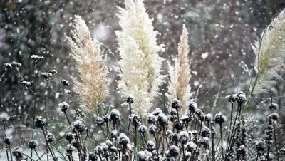 pixabay, фото - Новости Zakon.kz от 19.02.2020 06:05