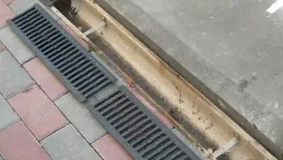 Zakon.kz, фото - Новости Zakon.kz от 29.07.2014 14:45