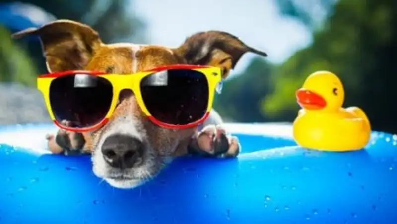 Казахстанцев ждут жаркие выходные