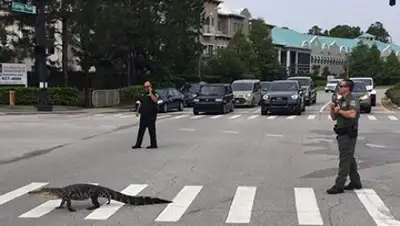 Zakon.kz, фото - Новости Zakon.kz от 08.06.2016 02:02