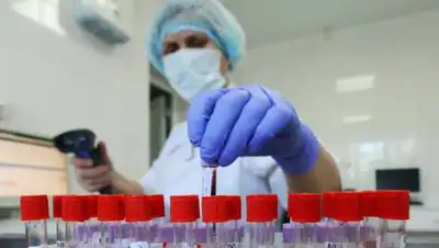 nikvesti.com, фото - Новости Zakon.kz от 08.02.2021 09:05