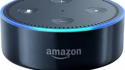 3DNews, фото - Новости Zakon.kz от 01.12.2020 12:25