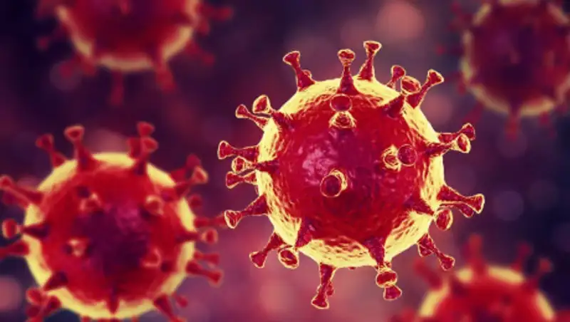 Происходит видоизменение генетической структуры коронавируса — Минздрав