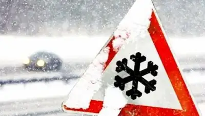 24.kz, фото - Новости Zakon.kz от 03.02.2021 22:12