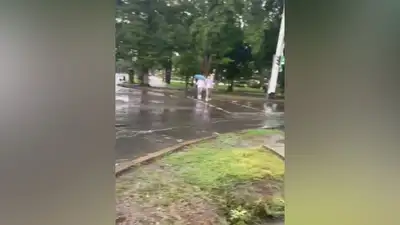 Талдыкорган, фото - Новости Zakon.kz от 12.08.2023 14:19