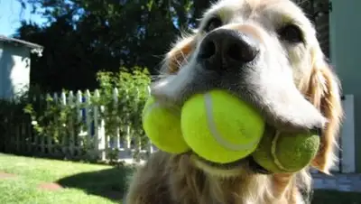 Zakon.kz, фото - Новости Zakon.kz от 06.03.2017 23:37