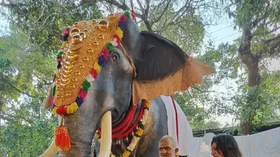 Слон-робот в Индии