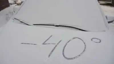 Zakon.kz, фото - Новости Zakon.kz от 25.11.2016 14:45