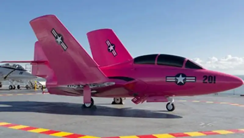 В США истребитель выкрасили в розовый цвет