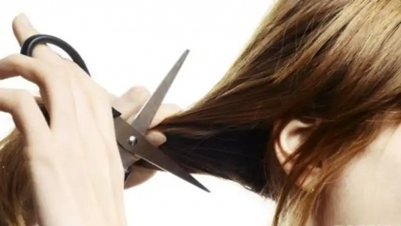 Отрезали волосы и снимали на видео: найдены издевавшиеся над сверстницей школьницы