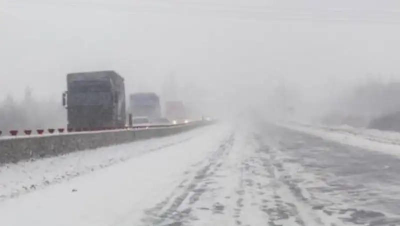 Два школьных автобуса застряли в снежном заносе в ЗКО