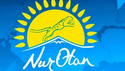 Nur Otan, фото - Новости Zakon.kz от 12.11.2020 17:48