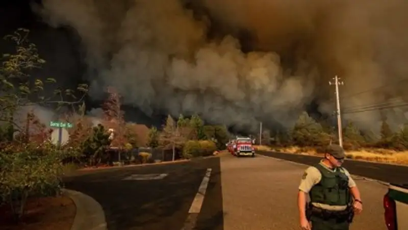 Число жертв лесных пожаров в Калифорнии увеличилось до 42 человек