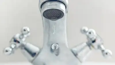 pixabay, фото - Новости Zakon.kz от 11.04.2021 12:29