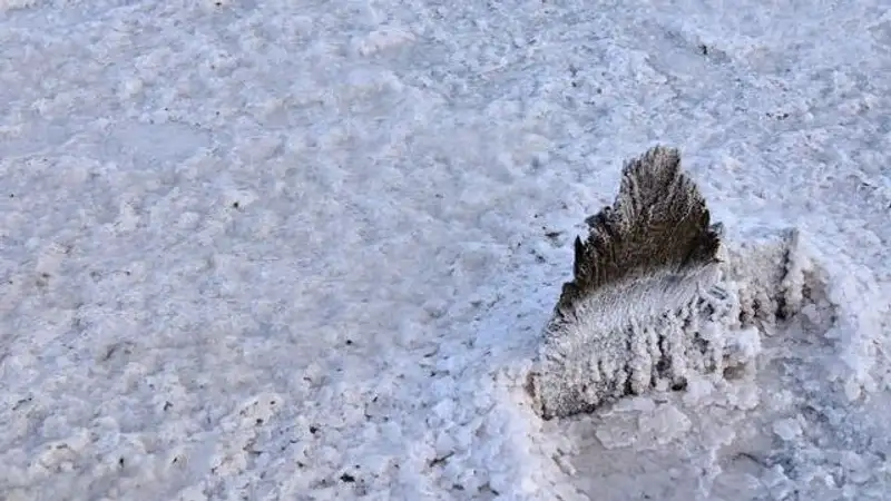 Человек не виноват: эколог об обмелении уникального розового озера