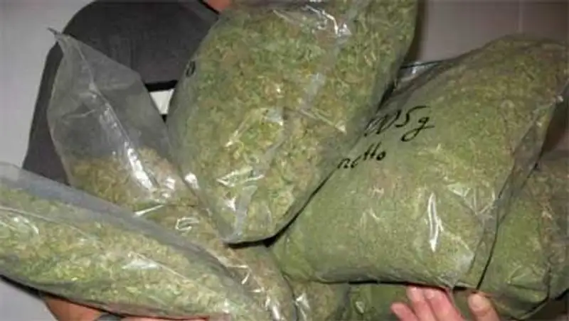 Почти 200 кг наркотиков изъято в Павлодарской области за два месяца