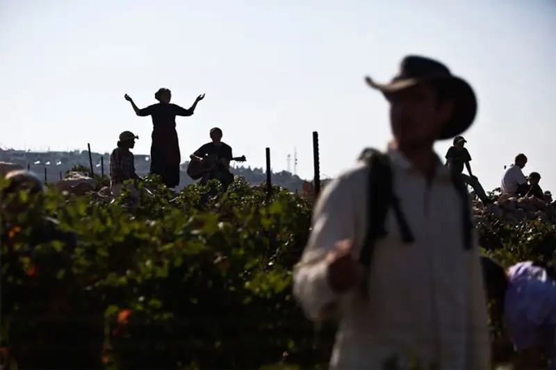 Урожай 2013, фото - Новости Zakon.kz от 07.11.2013 19:46