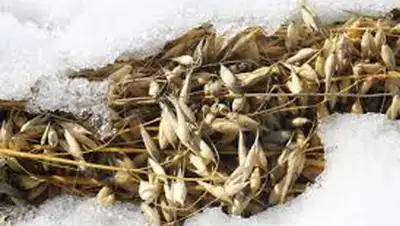 Zakon.kz, фото - Новости Zakon.kz от 08.11.2014 17:20